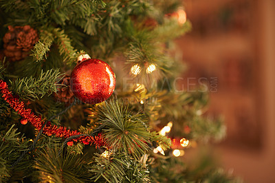 Buy stock photo Christmas tree, decor and interior with bauble or ornament for festive, celebration or December at home. Closeup of greenery, decoration or traditional season with shiny ball for new year or holiday