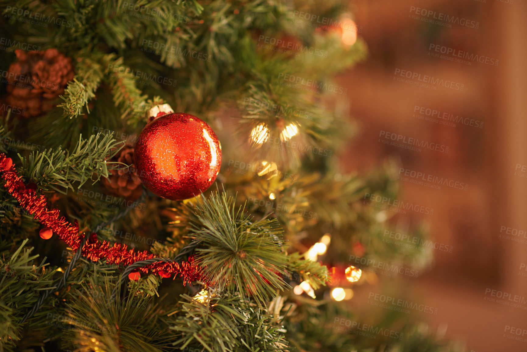 Buy stock photo Christmas tree, decor and interior with bauble or ornament for festive, celebration or December at home. Closeup of greenery, decoration or traditional season with shiny ball for new year or holiday