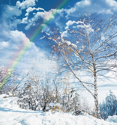 Buy stock photo Winter, landscape and rainbow in forest with snow on trees in countryside, environment or woods. Sunshine, clouds or peace in nature with colors in sky like heaven, magic on earth with ice on plants