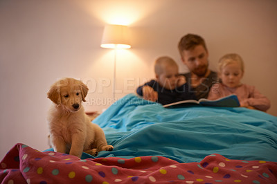 Buy stock photo Night, kids or father reading book in bed for learning, education or storytelling at home with dog. Family, relax or dad with children siblings for a fun fantasy with a pet puppy or golden retriever