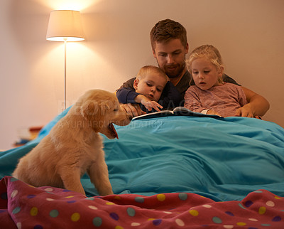 Buy stock photo Dog, kids or father reading book in bed for learning, education or storytelling at home at night. Family, relax or dad with children siblings for a fun fantasy with a pet puppy or golden retriever