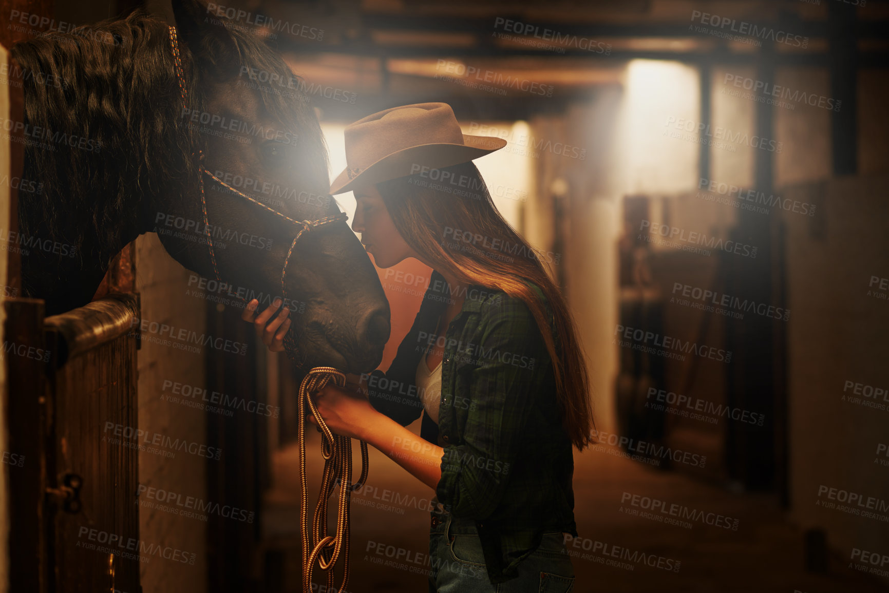 Buy stock photo Shot of a young woman tending to her horse
