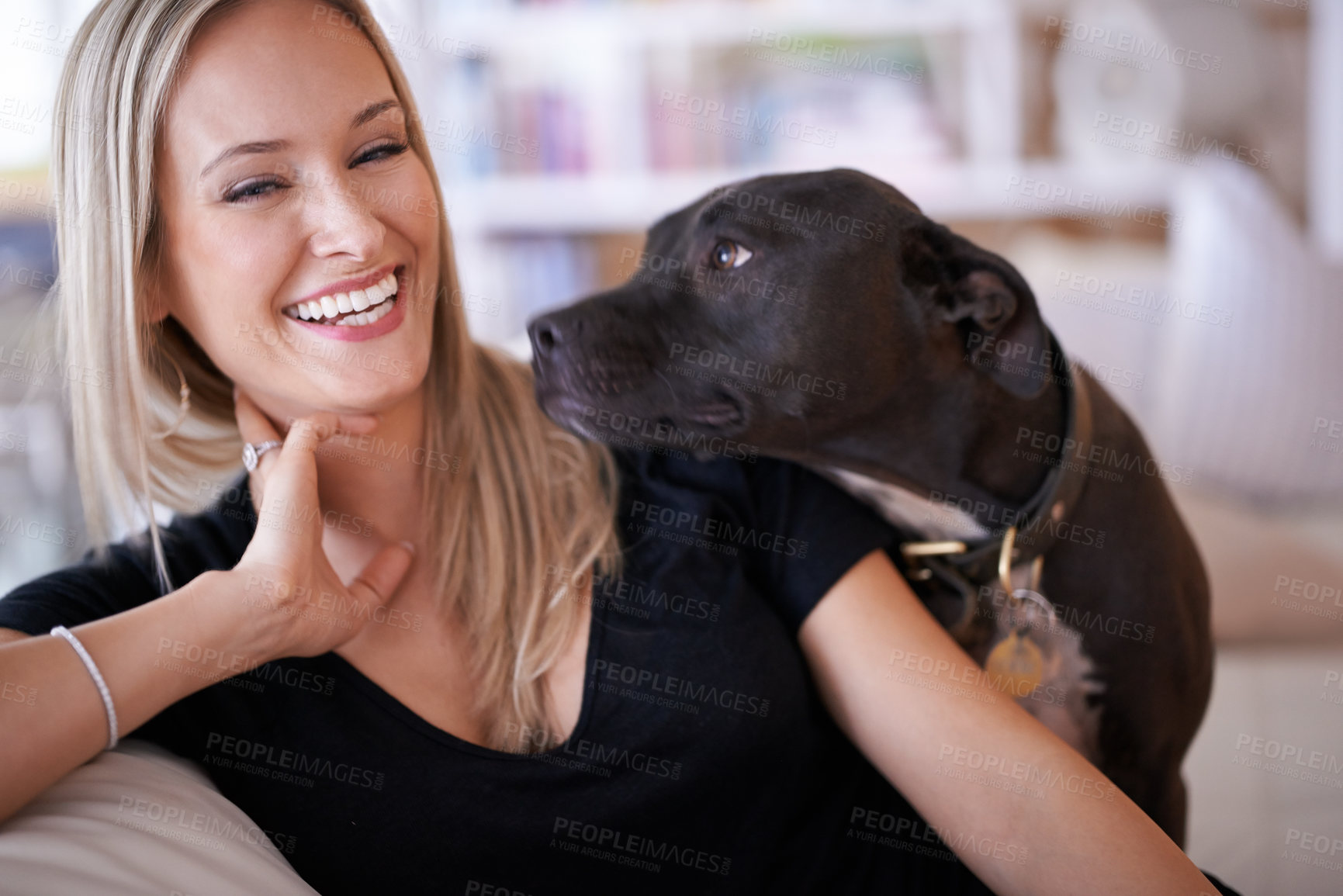 Buy stock photo Happy, portrait or woman and dog on a sofa with love, are and bonding at home together. Pets, face and female person relax with pitbull puppy in a living room with security, trust or foster safety