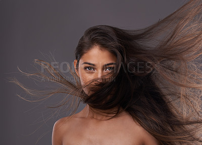 Buy stock photo Portrait, woman or wind as hair care, hairdressing or beauty as healthy, change or growth for scalp. Long, natural or hairstyle as grooming for texture, shine or volume in studio on grey background