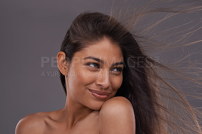 Buy stock photo Wind, smile and closeup of woman for hair care, treatment and blow dry for cosmetology isolated on studio background. Female person, adult and hairstyle for shampoo, hairdressing and brushing