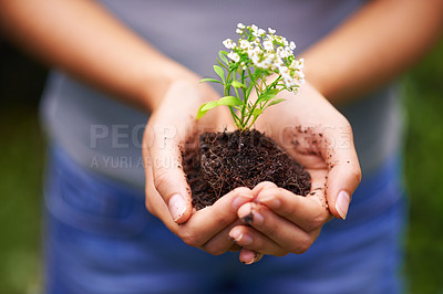 Buy stock photo Soil, sustainable and hands of woman with plant for eco friendly, agriculture or agro gardening. Dirt, environment and closeup of female person with blooming flower in nature for outdoor horticulture