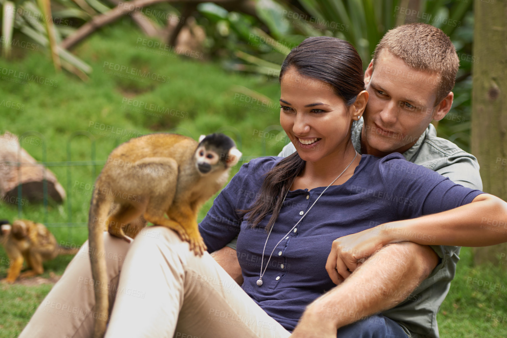 Buy stock photo Cropped shot of a young couple spending time at an animal sanctuary