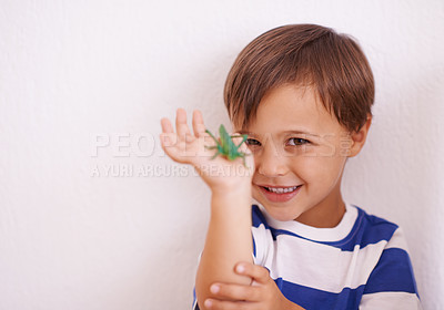 Buy stock photo Child, learning and happy portrait with insect in hand with for science education and study. Kid, check and observe bug in inspection on studio background for biology, knowledge and development