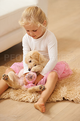 Buy stock photo Child, golden retriever and playing at home with a dog and happy girl together for love, care and development. Cute kid and animal puppy or pet playing dress up game as friends on the lounge floor