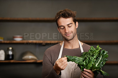 Buy stock photo Kitchen, restaurant and man with spinach for cooking, service and chef skills for supper. Dining, cafeteria and person with vegetables, fresh ingredients and food meal prep for lunch or dinner
