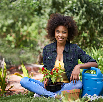 Buy stock photo Black woman in garden, smile while gardening with plant or flower, botany and young gardener in portrait outdoor. Happy female person with green fingers, growth and plants in nature with landscaping