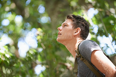 Buy stock photo Teenager, boy and explore in tree forest for summer break in countryside with backpack for hiking, trekking or adventure. Male person, woods and vacation sunshine in Australia park, travel or outdoor