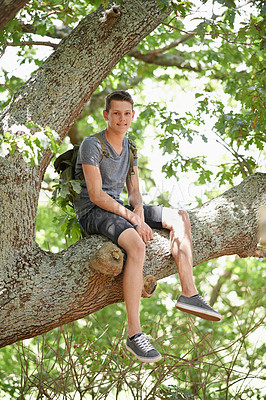 Buy stock photo Smile, portrait and boy sitting in tree in nature for adventure in outdoor park, garden or field. Happy, freedom and full body of young teenager climbing branch with positive and confident attitude.
