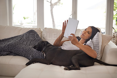 Buy stock photo Woman, tablet and dog in home for relax with typing email, communication and online movie in living room with blanket. Person, technology and social media search, web subscription or comfort on couch