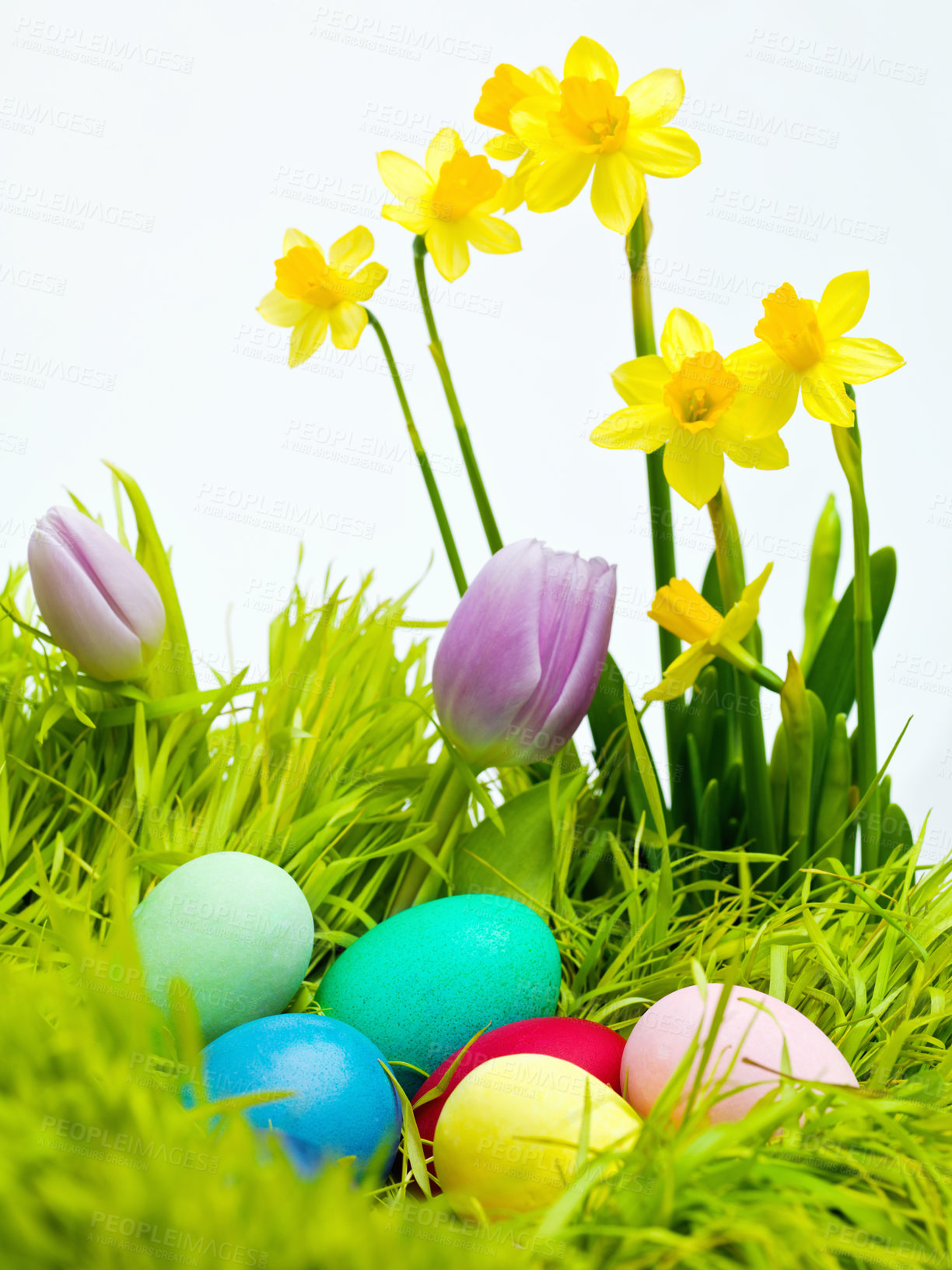 Buy stock photo Easter, flowers and eggs on grass in studio for celebration, kids fun and creative with candy. Culture, tradition and chocolate on lawn with color for hunt Good Friday, festive and christian holiday