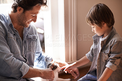 Buy stock photo Pet, kitten or father with child in home, house or apartment together for support, care or love for animal. England, touch or dad bonding with kid, boy or cat on a family vacation, holiday or relax