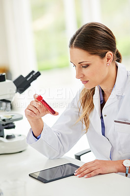 Buy stock photo Cropped shot of a young female scientist examining a test tube in a lab