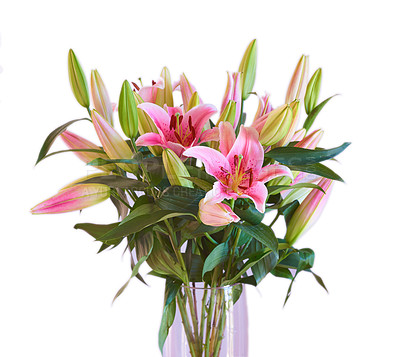 Buy stock photo Closeup of a bouquet of pink lily flowers in a vase isolated on white studio background. Beautiful red lilies in a glass holder design for lifestyle home decor. A mothers or valentines day concept