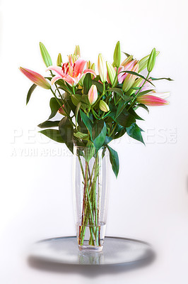 Buy stock photo Bouquet of pink flowers in a vase isolated on white studio background. Beautiful lily buds with green leaves arranged in a long glass holder for birthday, valentines or mothers day