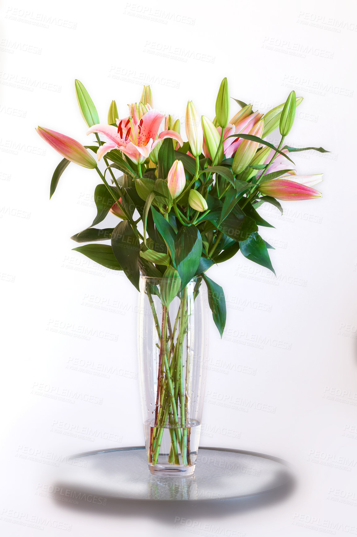 Buy stock photo Bouquet of pink flowers in a vase isolated on white studio background. Beautiful lily buds with green leaves arranged in a long glass holder for birthday, valentines or mothers day