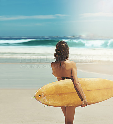 Buy stock photo Rearview shot of a young and sexy female surfer on the beach