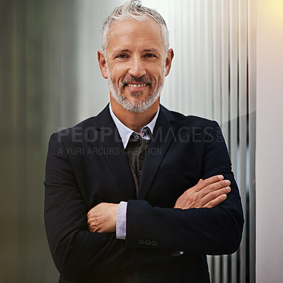 Buy stock photo Portrait of a confident businessman in the office