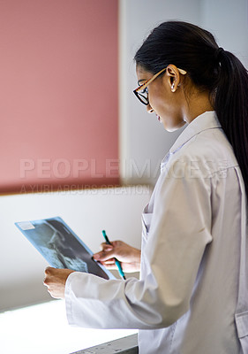 Buy stock photo Cropped shot of a young female dentist analysing an x-ray
