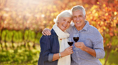 Buy stock photo Portrait of a smiling senior couple making a toast together in front of a vineyard in the autumn