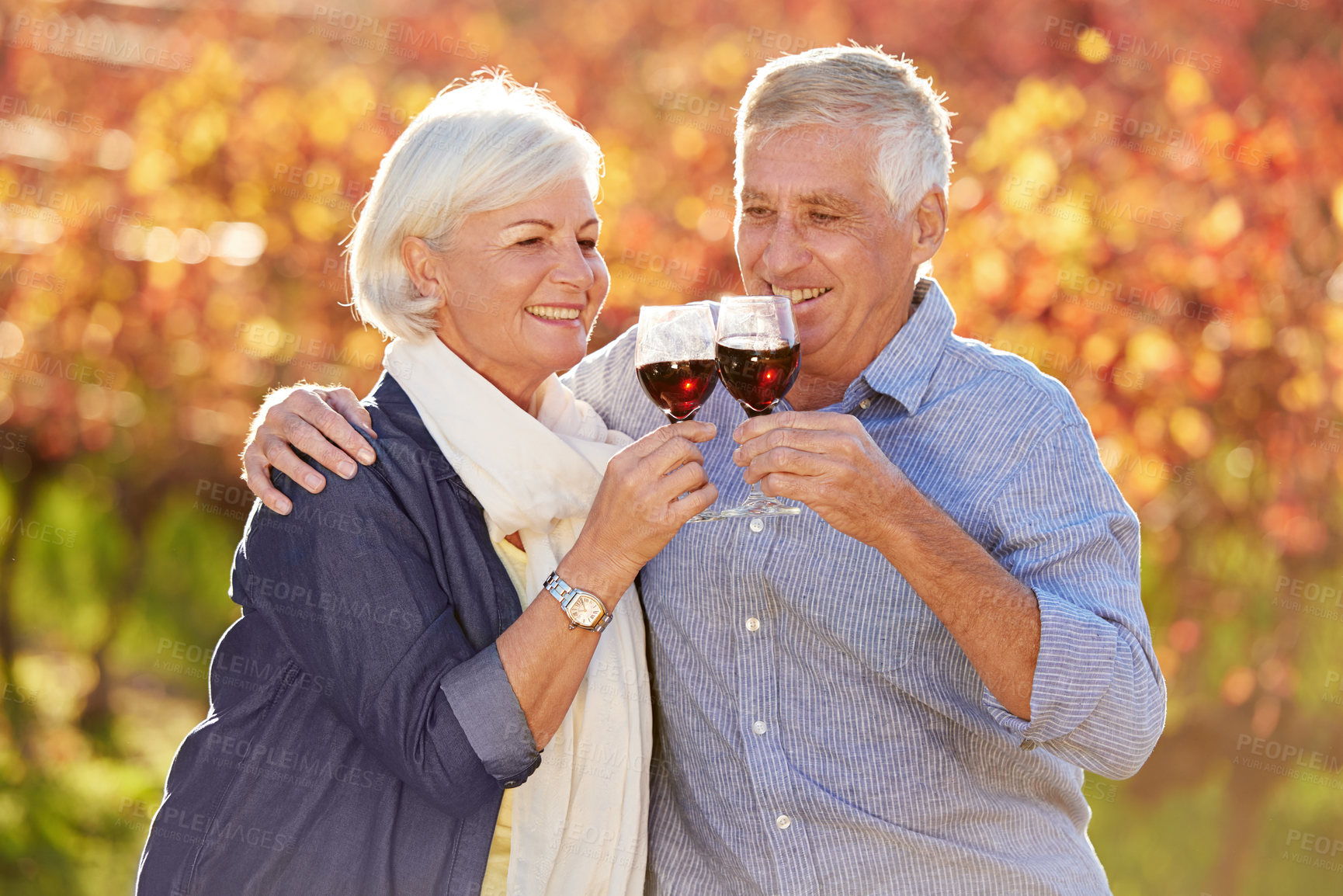 Buy stock photo Hug, senior or happy couple toast in park for celebration on holiday vacation for bonding in autumn. Retirement, cheers and people on marriage anniversary with glass, drinks or wine in commitment