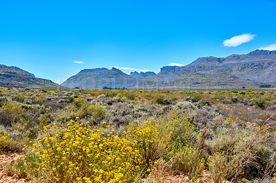 Buy stock photo Landscape, mountains and blue sky with field of nature for environment, horizon and growth. Sustainability, plants and tourism with outdoor travel for view, habitat conservation and hills background