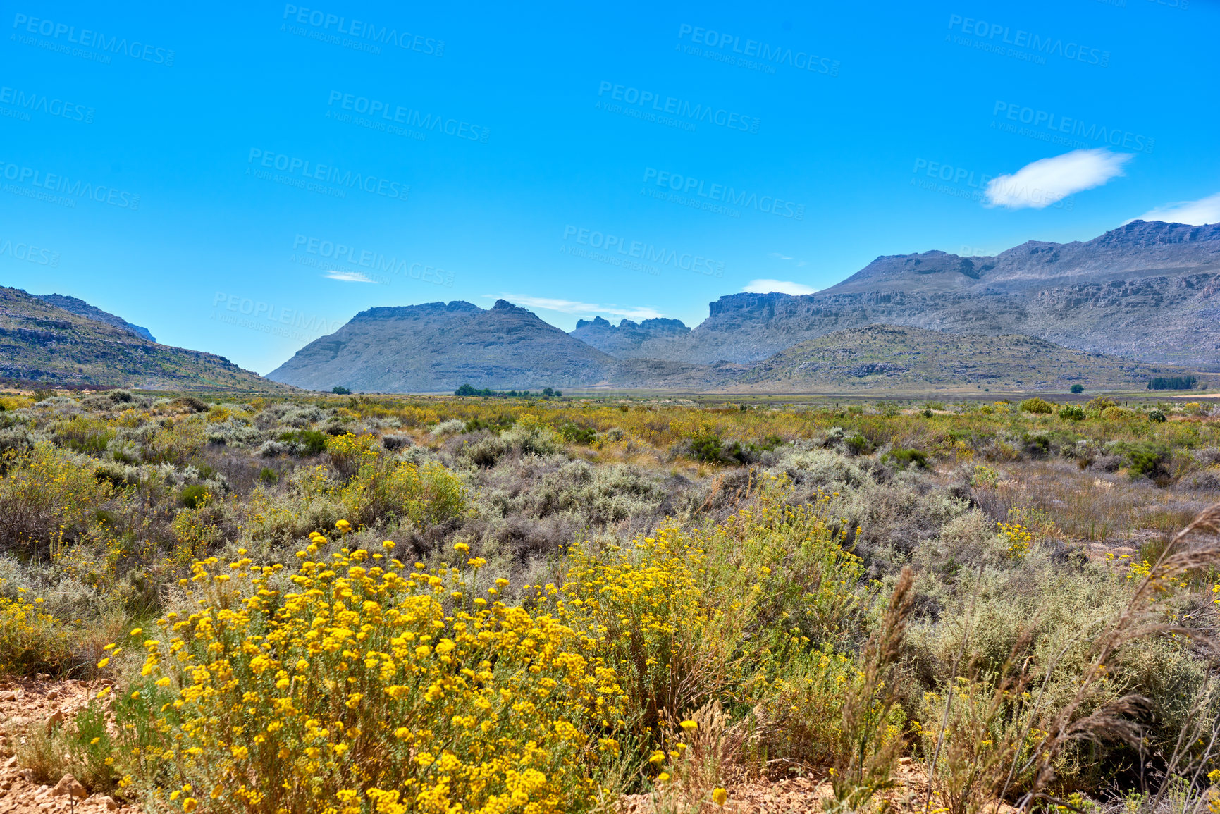 Buy stock photo Landscape, mountains and blue sky with field of nature for environment, horizon and growth. Sustainability, plants and tourism with outdoor travel for view, habitat conservation and hills background