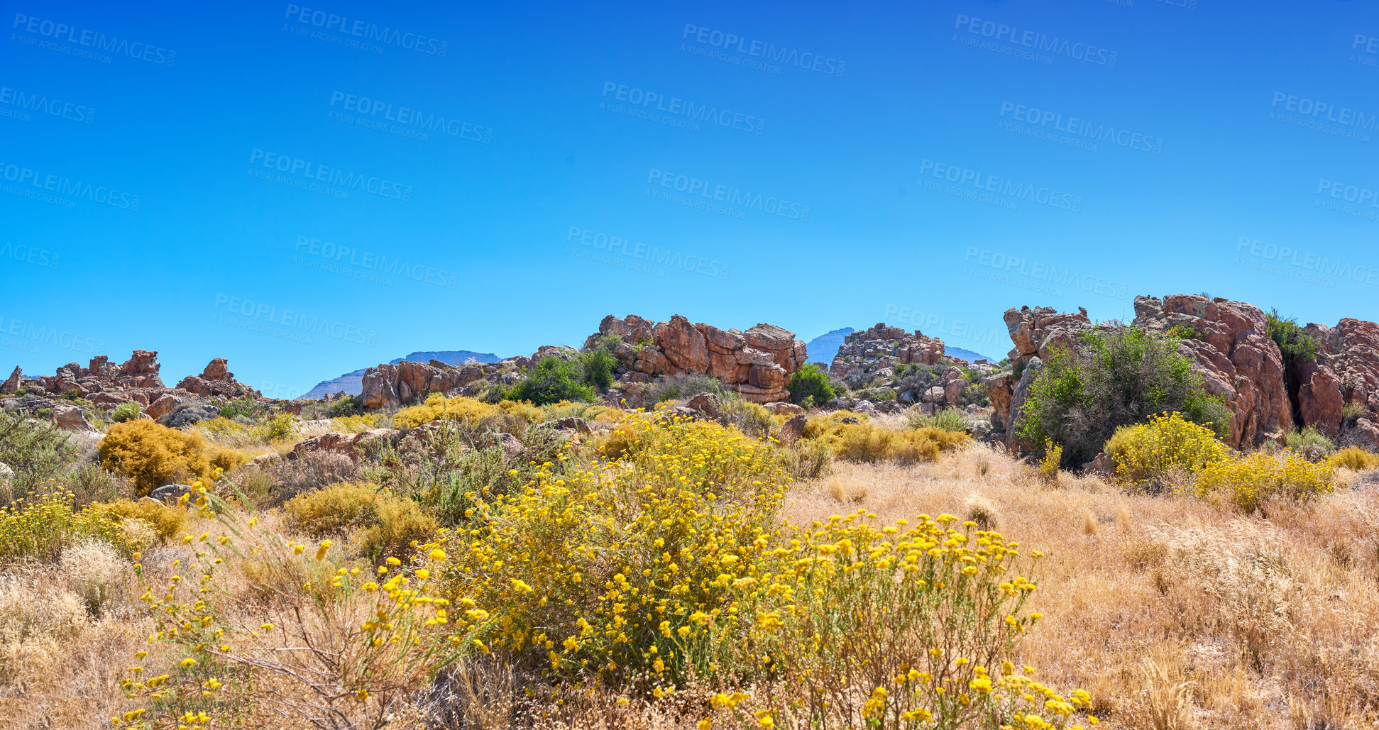 Buy stock photo Landscape, plants and travel with field in nature for environment, horizon and growth. Sustainability, view and tourism with outdoor flora for rocks, habitat conservation and hills background