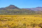 Landscape in Cederberg nature reserve, South Africa