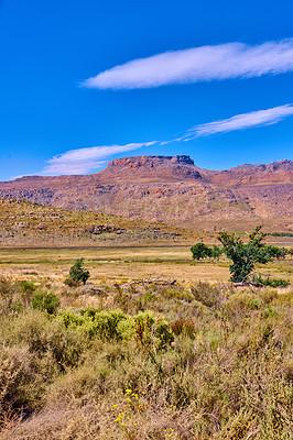 Buy stock photo Outdoor, plants and mountains with blue sky, environment and travel with tourism, empty and adventure, Journey, landscape and countryside with growth, flowers and spring with ecology and earth day