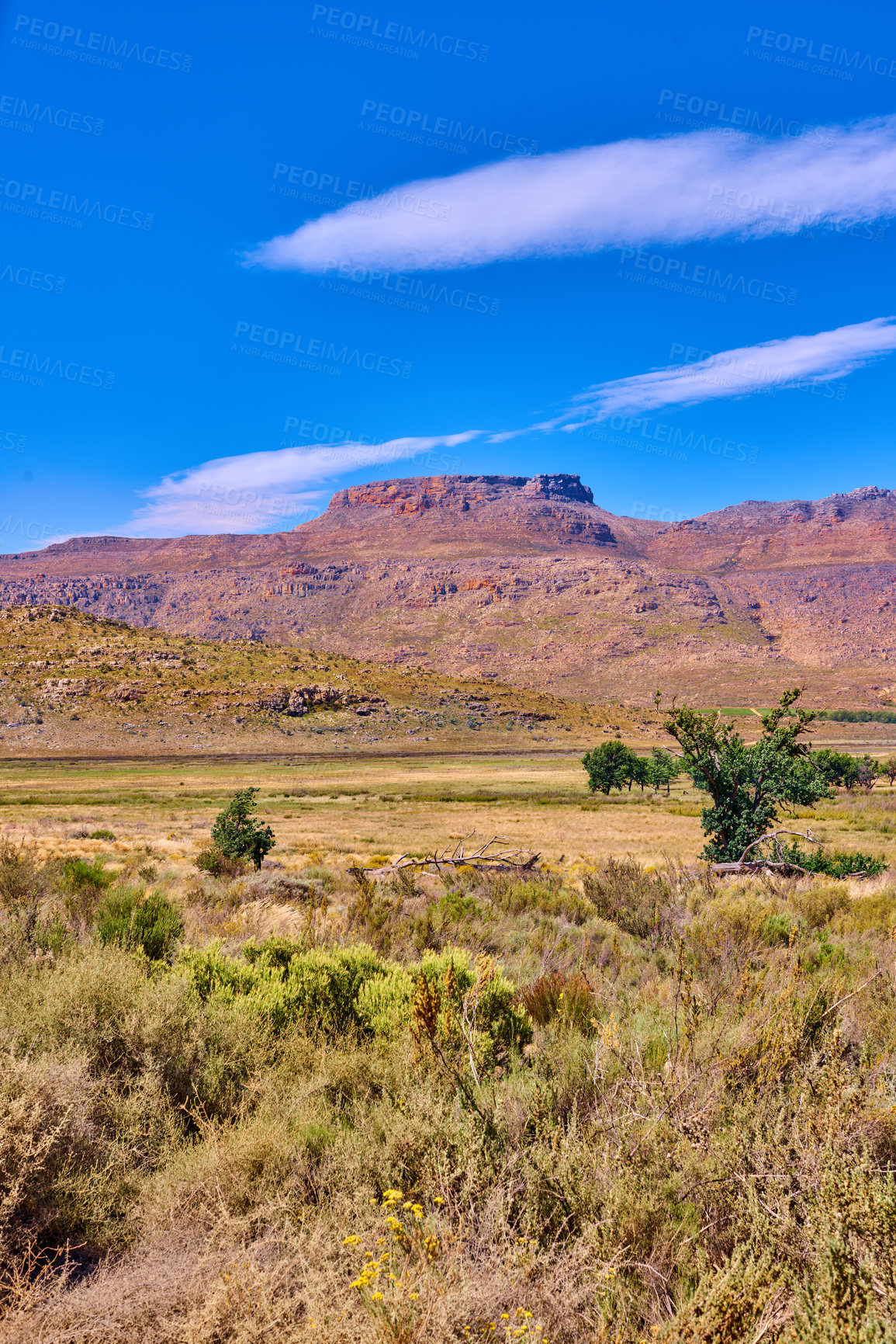 Buy stock photo Outdoor, plants and mountains with blue sky, environment and travel with tourism, empty and adventure, Journey, landscape and countryside with growth, flowers and spring with ecology and earth day