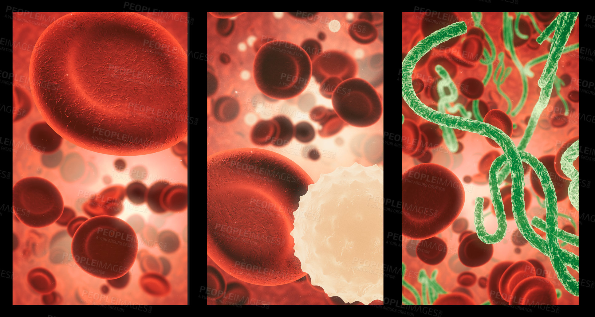 Buy stock photo Covid, blood and cell structure of disease closeup in series for medical investigation or research. Virus, bacteria and healthcare with a microscope view of living molecule samples for biology