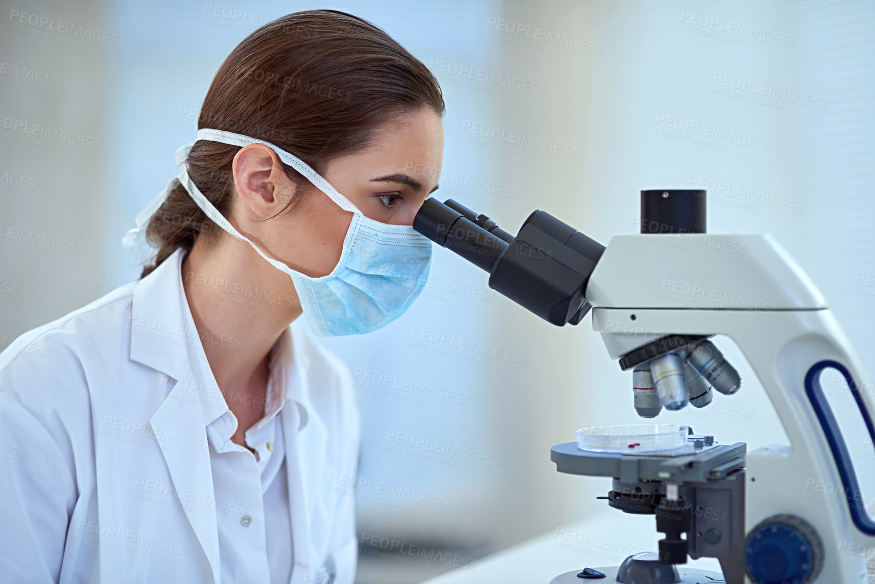 Buy stock photo Science, laboratory and woman with microscope for medicine, medical study and vaccine development. Healthcare, pharmaceutical and scientist with equipment for discovery, experiment or research sample