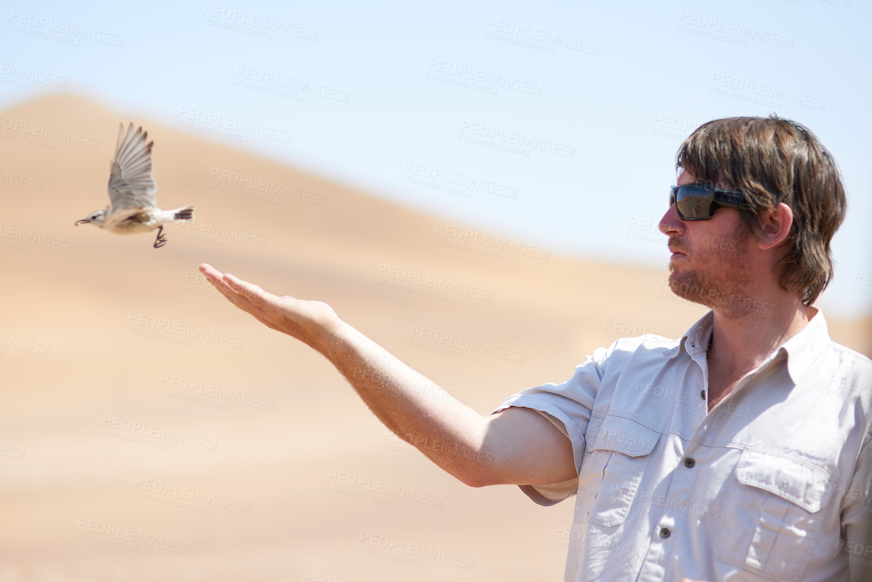 Buy stock photo Shot of a young man watching a small bird fly out of his hand in the desert