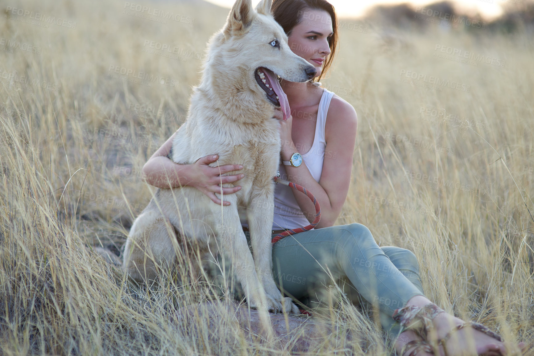 Buy stock photo Hug, comfort and woman with dog in field for travel, adventure and behaviour training while bonding in nature together. Puppy, love or girl with pet Husky in countryside with care, support and trust