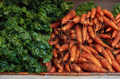 Buy stock photo Vegetable, food and fresh produce in supermarket, organic farming and carrot or kale selection. Sustainable, natural and healthy ingredients for shopper in aisle, harvest agriculture and nutrition