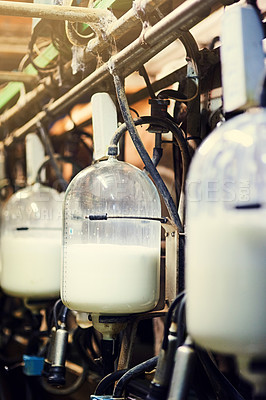 Buy stock photo Bottling, factory or industrial farm with milk in glass jar for storage, processing and safe transport. Warehouse, container and liquid in plastic jars for dairy, healthy drink and organic beverage