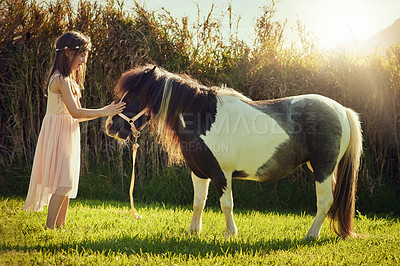 Buy stock photo Shot of a cute little girl playing with her pony outside