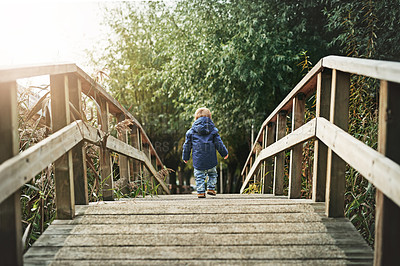 Buy stock photo Rear view shot of a little boy crossing a bridge at a park
