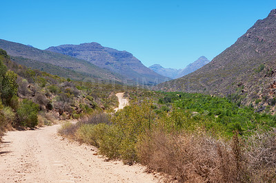 Buy stock photo Outdoor, nature and path in valley bush, holiday location and peace in sustainable landscape. Earth, meadow trail and texture to explore on vacation, remote adventure and wild environment for travel