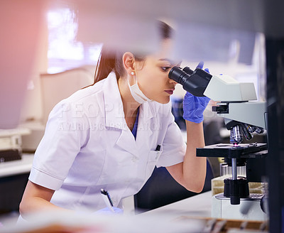 Buy stock photo Shot of a young scientist using a microscope in a laboratory