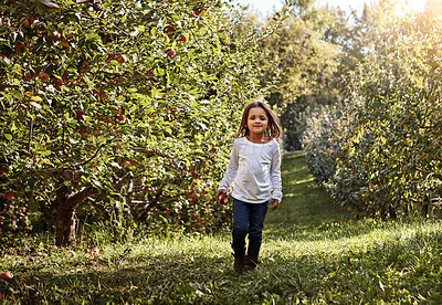 Buy stock photo Portrait of an adorable little girl having fun in an apple orchard