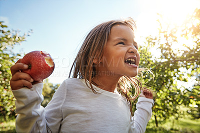 Buy stock photo Shot of an adorable little girl having fun in an apple orchard