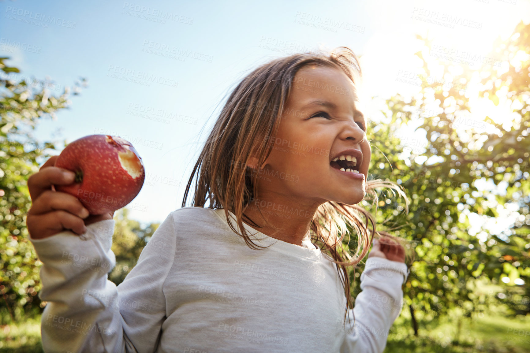 Buy stock photo Shot of an adorable little girl having fun in an apple orchard