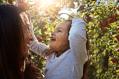 Buy stock photo Happy, mom and child in tree with apple on farm, orchard or relax in garden with nature in summer. Growth, mother and daughter with fruit from sustainable agriculture, environment or healthy food