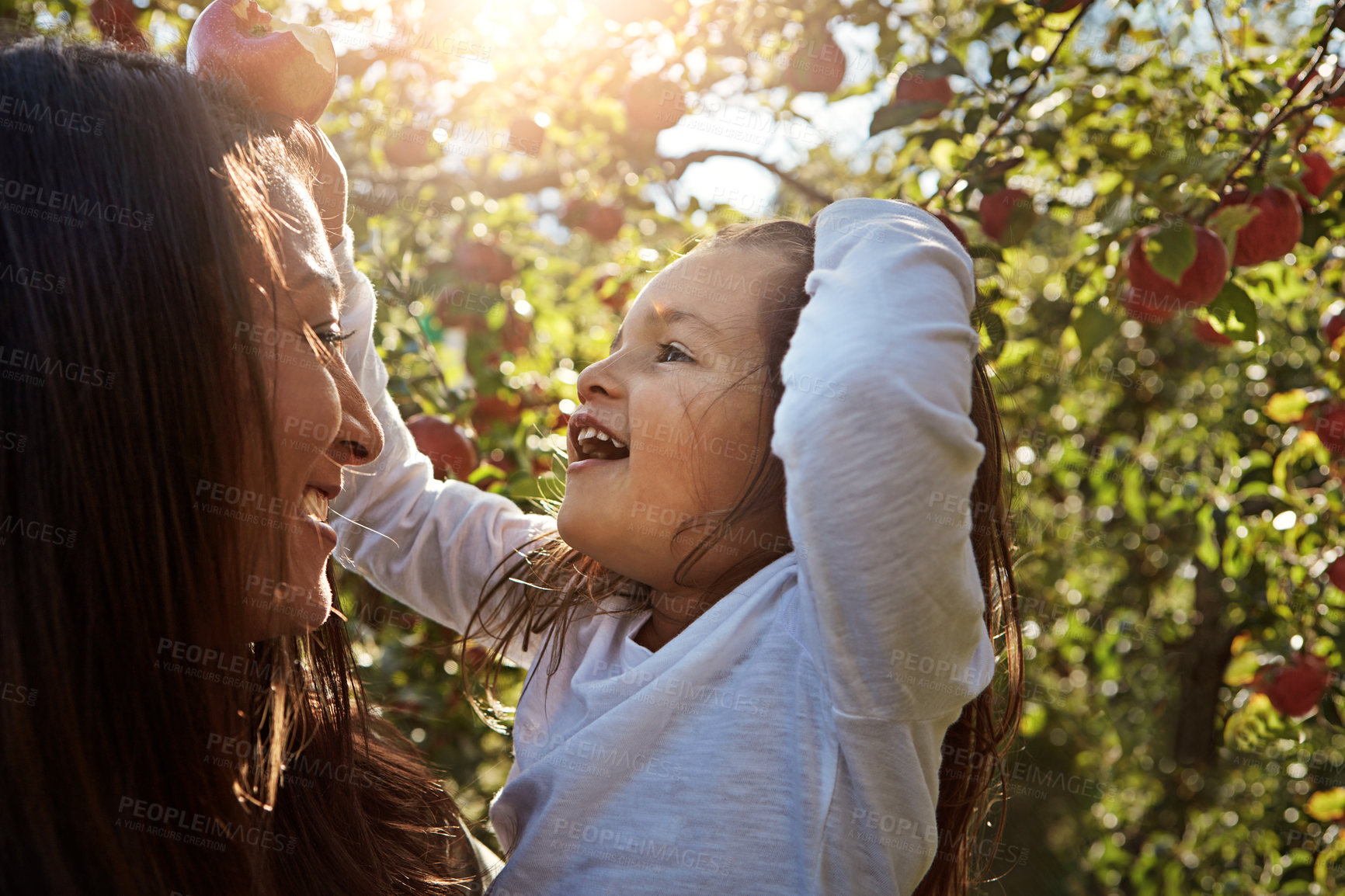 Buy stock photo Happy, mom and child in tree with apple on farm, orchard or relax in garden with nature in summer. Growth, mother and daughter with fruit from sustainable agriculture, environment or healthy food